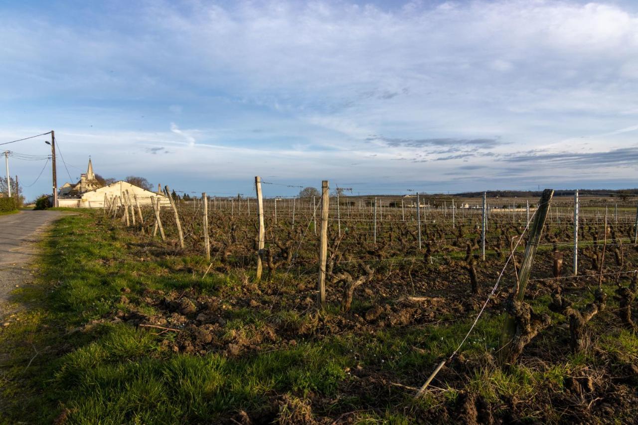 Maison Chaleureuse-Grand Jardin-Proche Saumur Parnay Екстериор снимка